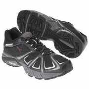 shoeshoetrain.com Laroga