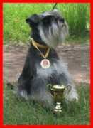 dogs-destiny.narod.ru Larsy