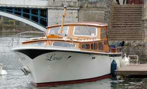 Larus
