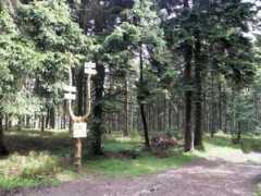 panoramio.com Lasem