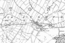 treetonweb.co.uk Laston