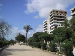 lexicorient.com Latakia