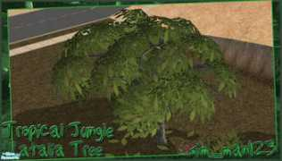 thesimsresource.com Latalia