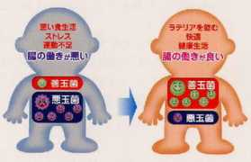 .kcn.ne.jp Lateria