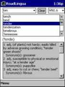ppc.absoluteword.com Latita