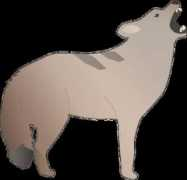 Latrans