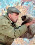 vivacinema.it Lattore