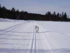 satakunnankansa.fi Latua