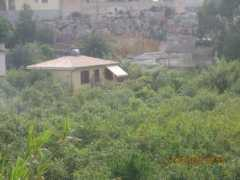 siciliasud.it Laufi