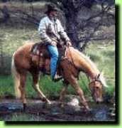 naturalhorsetraining.com Lauman