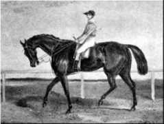 allbreedpedigree.com Launcelot