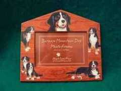bernese.biz Laurenzano