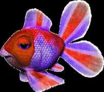 deadliestcatch.ning.com Lauriem