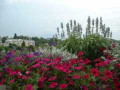 icherney.com Lausanne