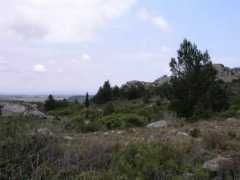 panoramio.com Lause