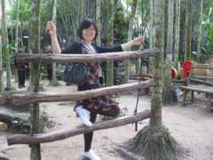 dipan.kekenet.com Lauy
