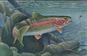 fish.state.pa.us Lavanish