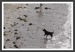 roccoco.free.fr Lavarde