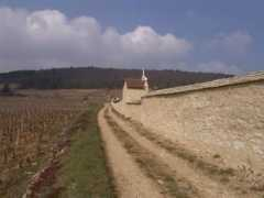 Lavaut