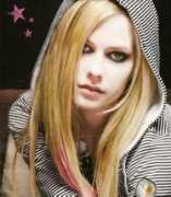 wisetrail.com Lavigne