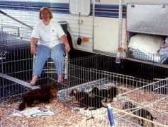 dachshundcircus.com Lavonne