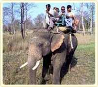 ecoindia.com Lawania