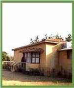 ecoindia.com Lawania