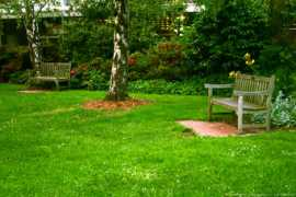 Lawn