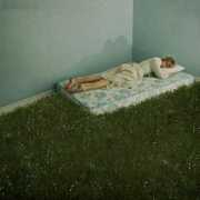 Lawn