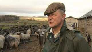 bbc.co.uk Layland