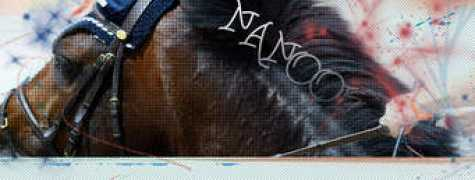 nanoocek.xf.cz Laynez