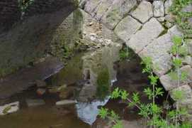 Layoul