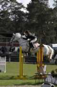 equiworld.net Lazzarotto