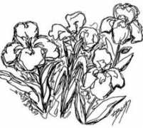 lindabossdesign.com Lboss