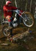 Lbro