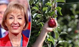 Leadsom