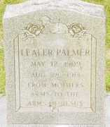 cemeteries-of-tx.com Lealer