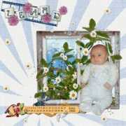 Leard