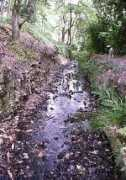 Leat