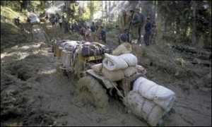 ourplanet.com Lebanidze
