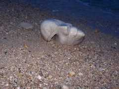 artesculturas.com Lebeche