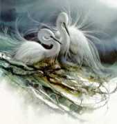 Lebede