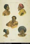 nla.gov.au Lebour