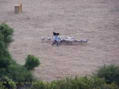 larzac.concours.free.fr Lecapelain