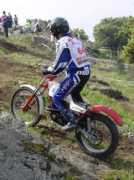 todotrial.com Lecea
