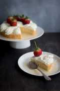 dominicancooking.com Leches