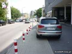 swietekrowy.pl Lechicka