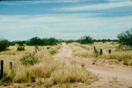geo.arizona.edu Lechot