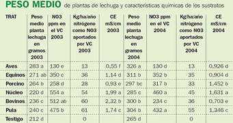 edant.clarin.com Lechuguita