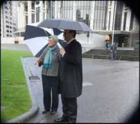 wellington.scoop.co.nz Lecretia